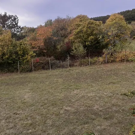 Am Waldrand Mit Fernblick Hettmannsdorf