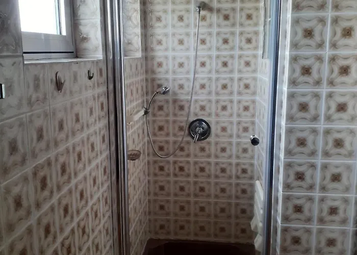 Am Waldrand Mit Fernblick